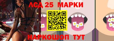 apvp Бийск