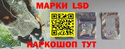 apvp Бийск