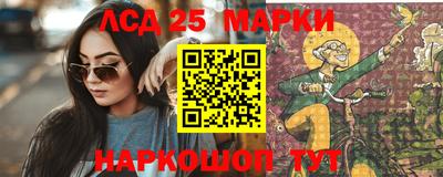 apvp Бийск