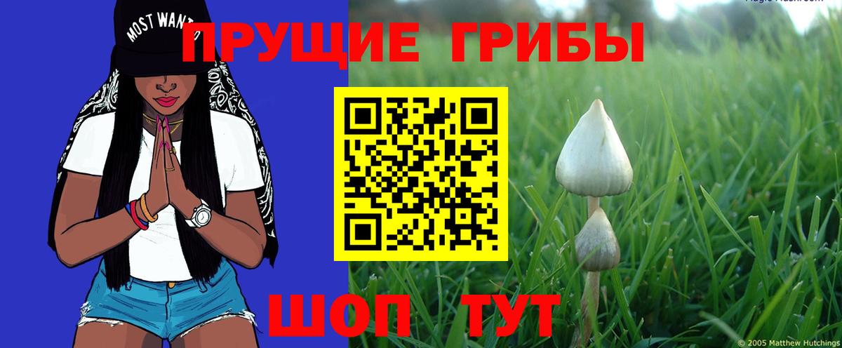 Галлюциногенные грибы ЛСД  Вход с VPN  цена   Кемерово 